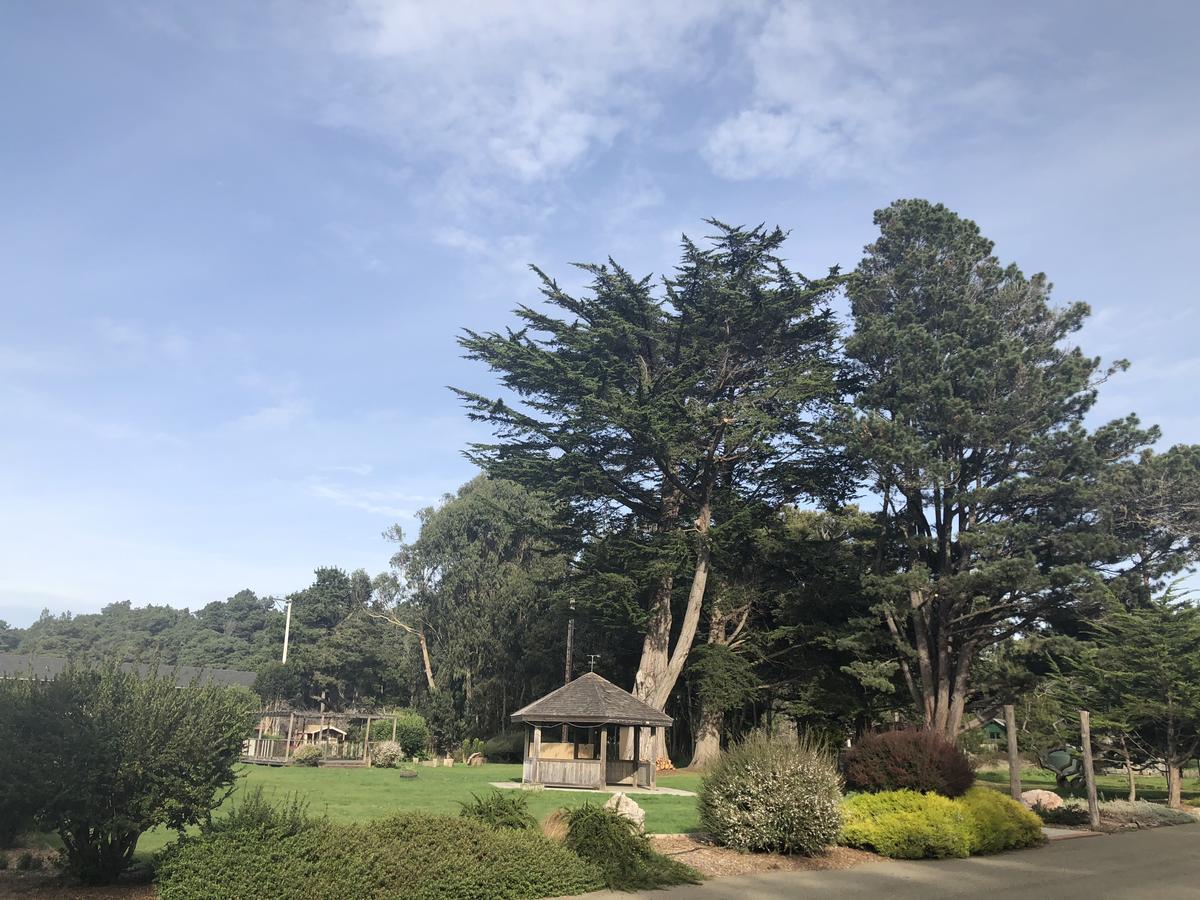 Pine Beach Inn Fort Bragg Kültér fotó
